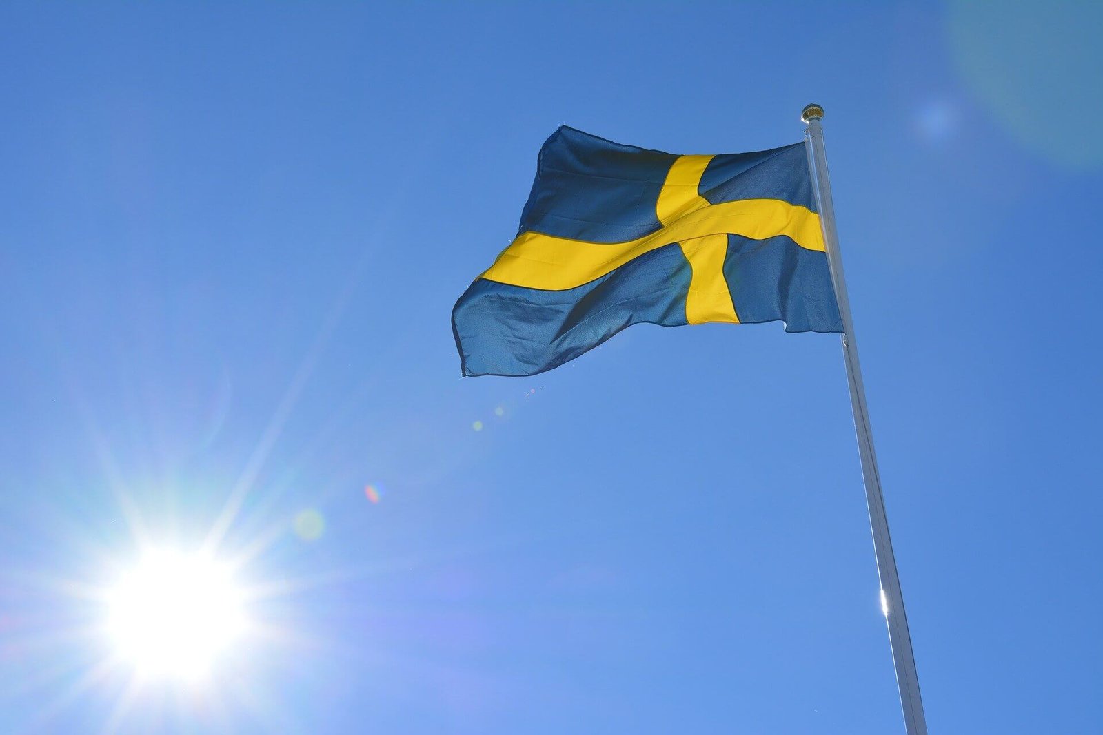swedish flag language learn work society